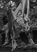 〈09〉アンコール遺跡群5