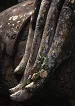 〈36〉タイ シーサッチャナライ仏手