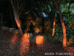 赤い光につつまれて