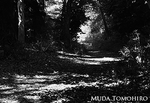 高幡不動の裏山で