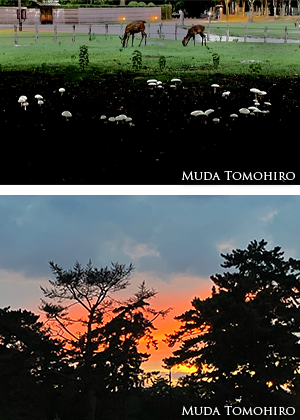 「魔法陣」それとも「ストーンサークル」？